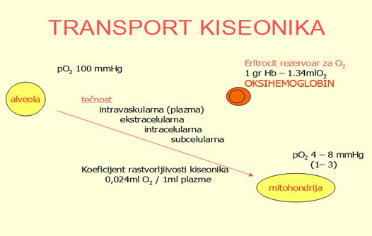 Tranzicioni put kiseonika